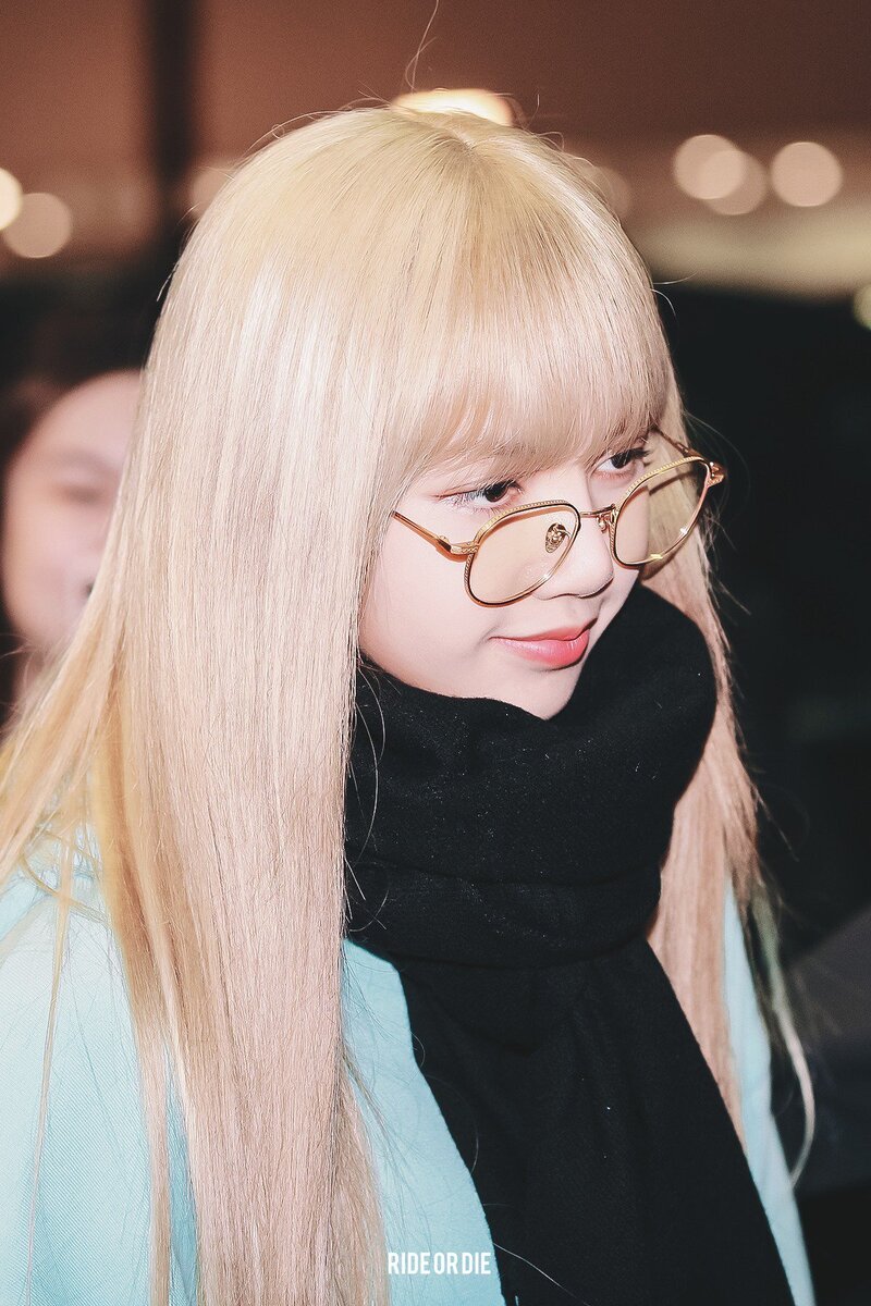 LISA  and  ROSE at Incheon Airport from Philippines1 - 190203 documents 7
