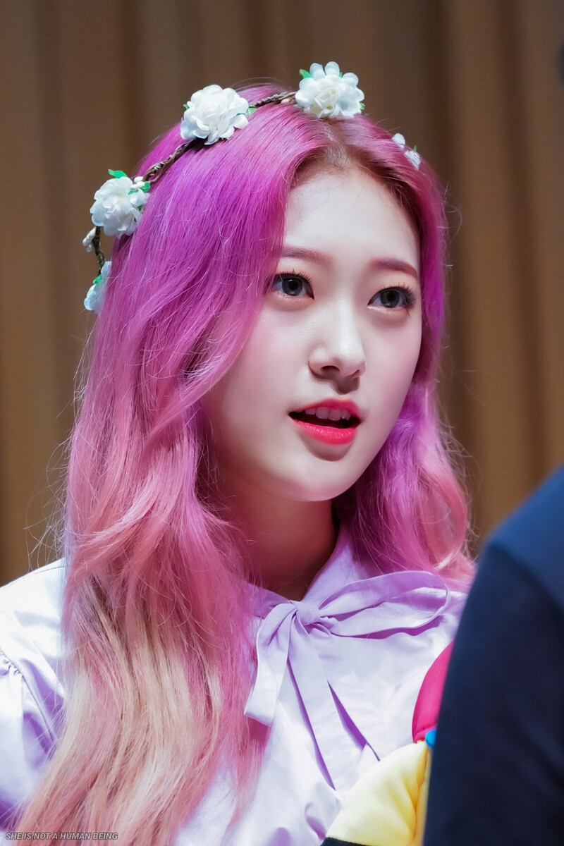 190602 LOONA Choerry documents 17