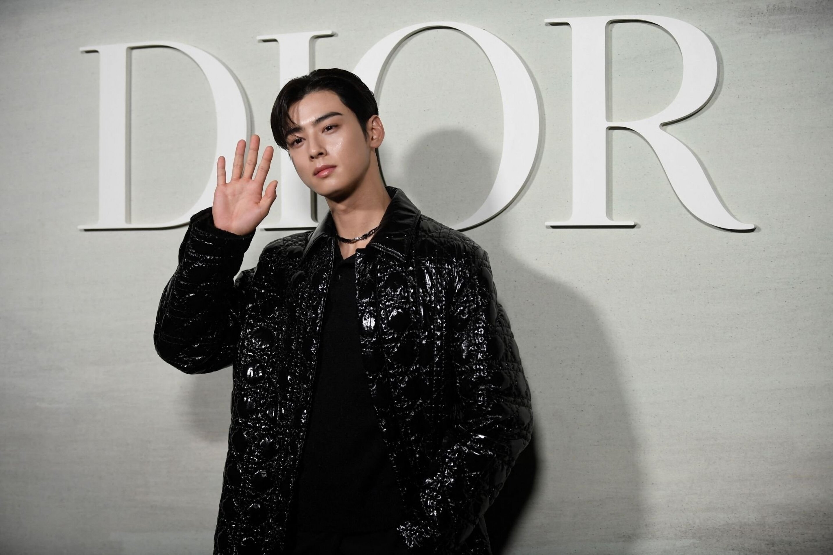 PFW - Celebs At Dior Show Cha Eun-woo leaves Dior show during