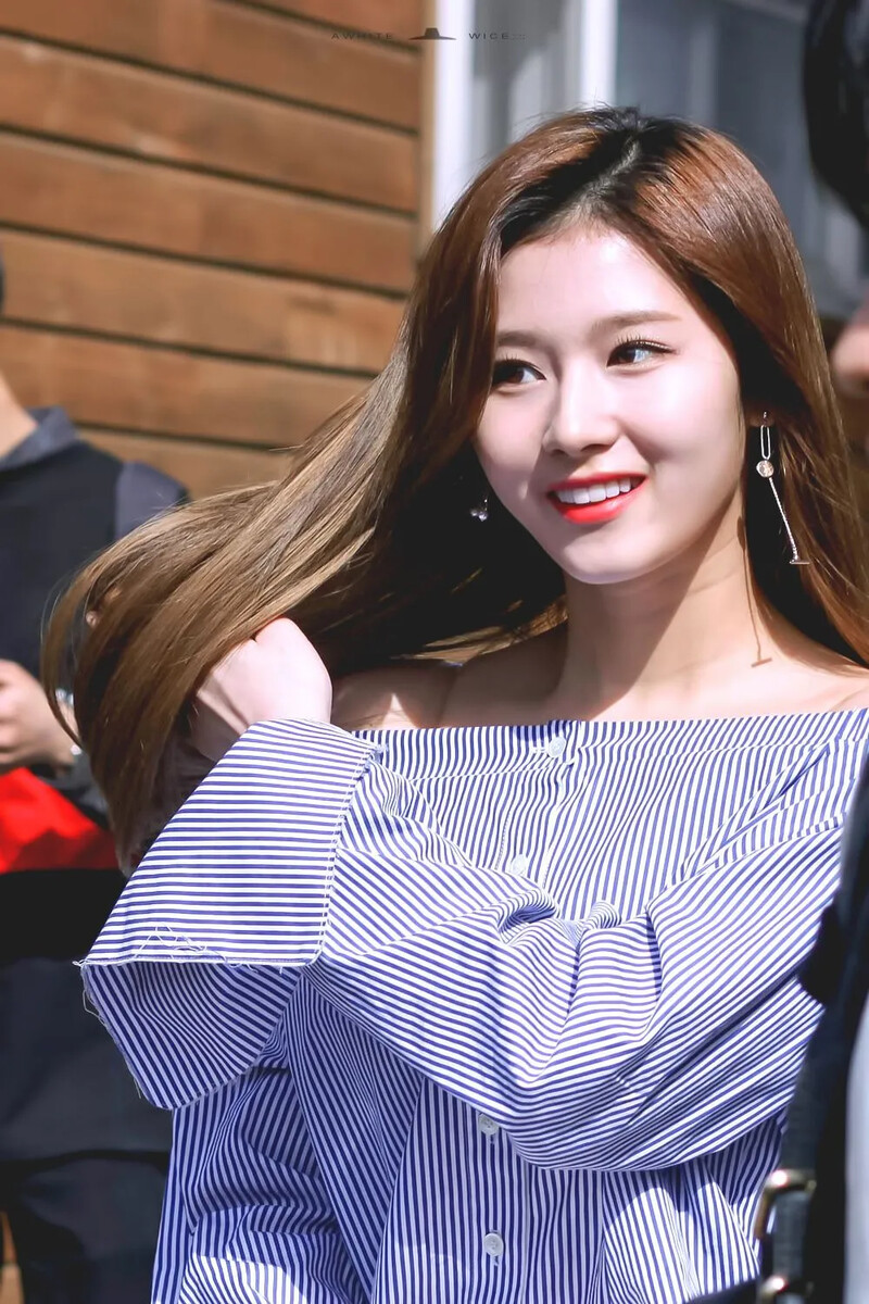 Sana1101.jpg