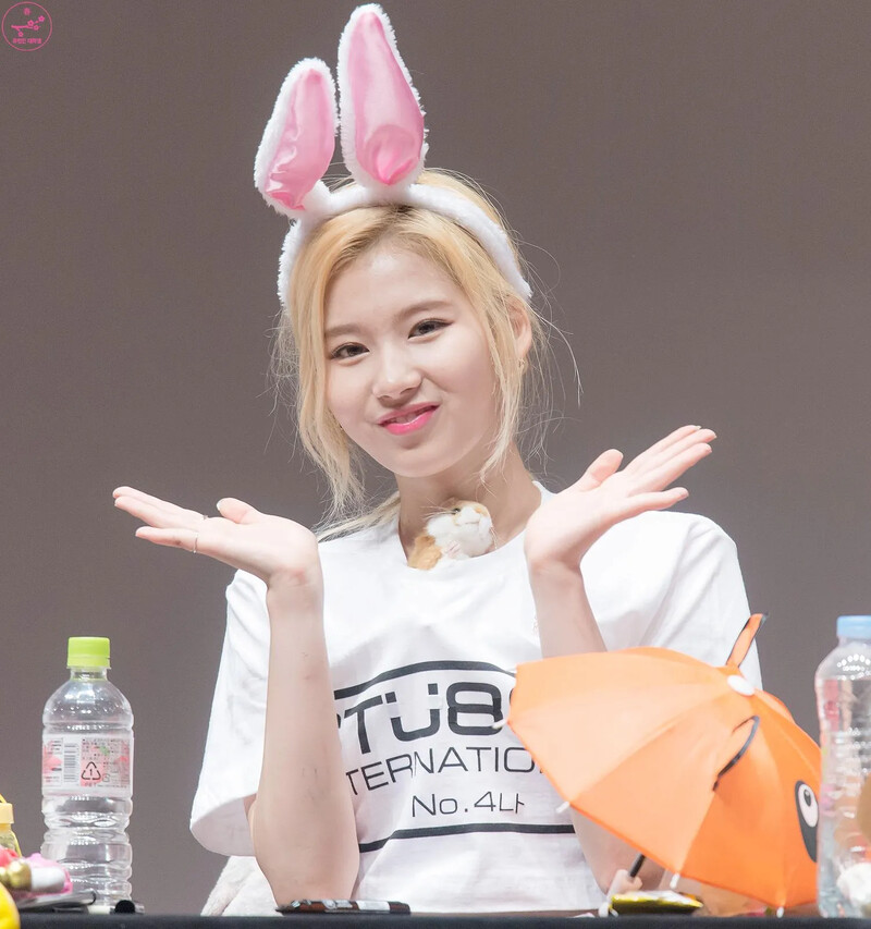 Sana494.jpg