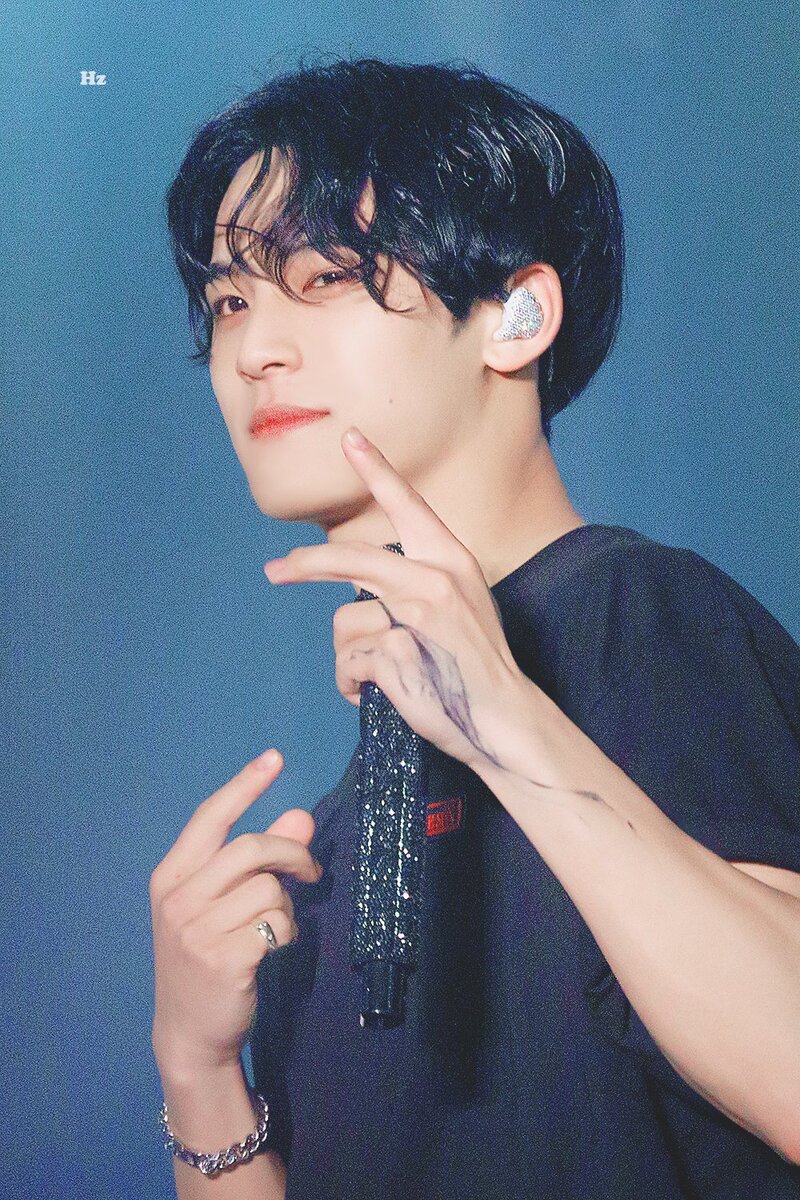 220625 SEVENTEEN Mingyu at “BE THE SUN” World Tour 2022 in Seoul Day1 documents 6