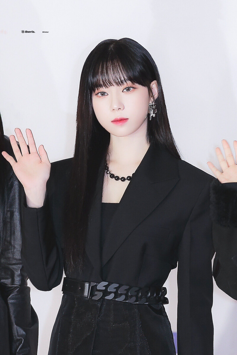 211202 aespa Winter - Asia Artist Awards documents 5