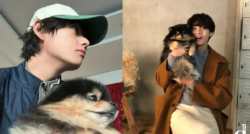 "Taehyung and Yeontan Strangely Resemble Each Other" — Korean Fans React to BTS V and His Dog's Heartmelting New Photo