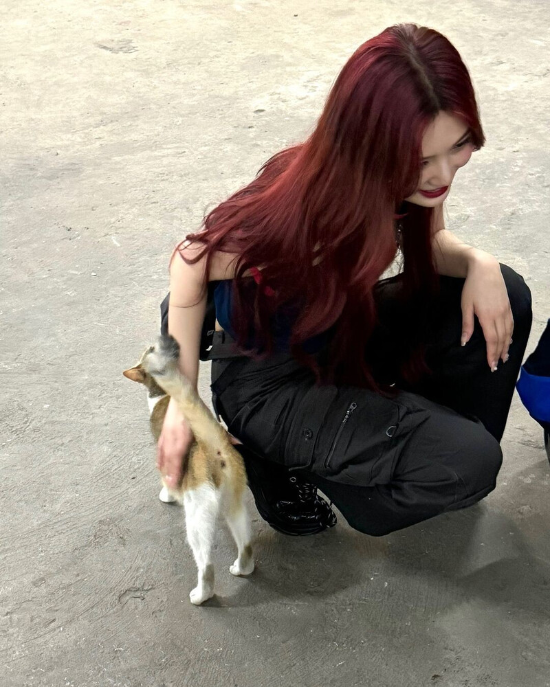 241103 - JOY Instagram Update documents 5