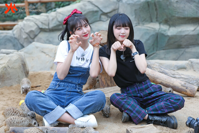 211028 Yuehua Naver Post - Yena & Sihyeon - Animal Detective Behind documents 2