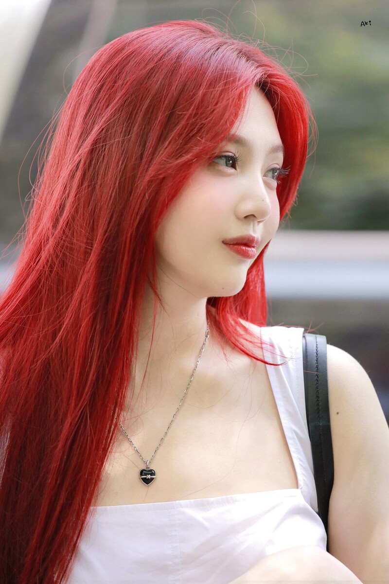 240814 Red Velvet Joy - Animal Farm Commute documents 4