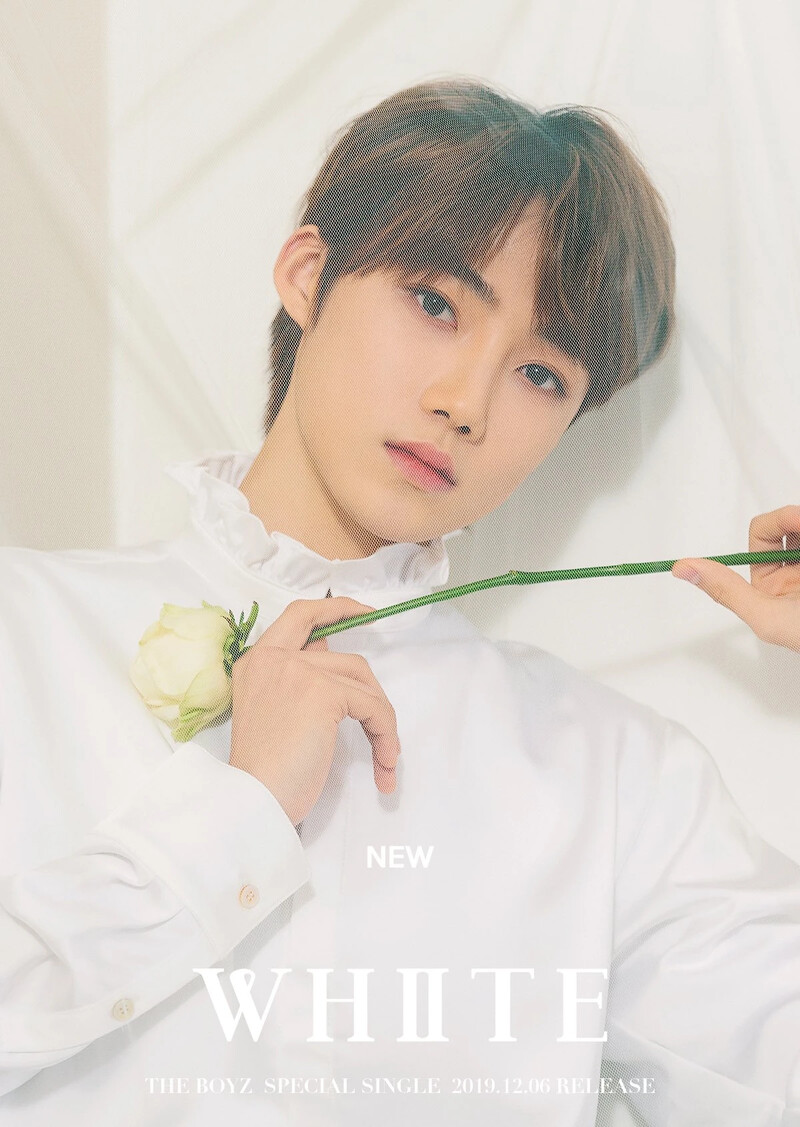 The Boyz "WHITE" Concept Teaser Images documents 6