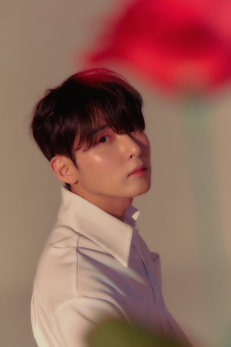 Ryeowook - 'A Wild Rose' Concept Teaser Images documents 6