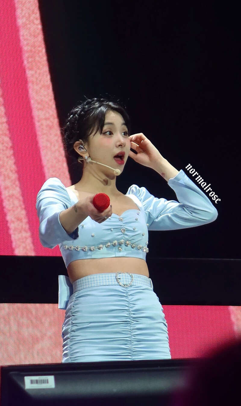 220514 TWICE Chaeyoung - 4th World Tour ‘Ⅲ’ Encore in Los Angeles Day 1 documents 6