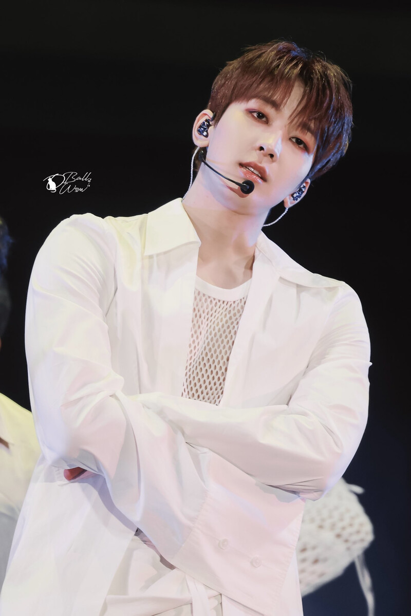 240723 SEVENTEEN Wonwoo - CARATLAND 2024 Day 1 documents 26