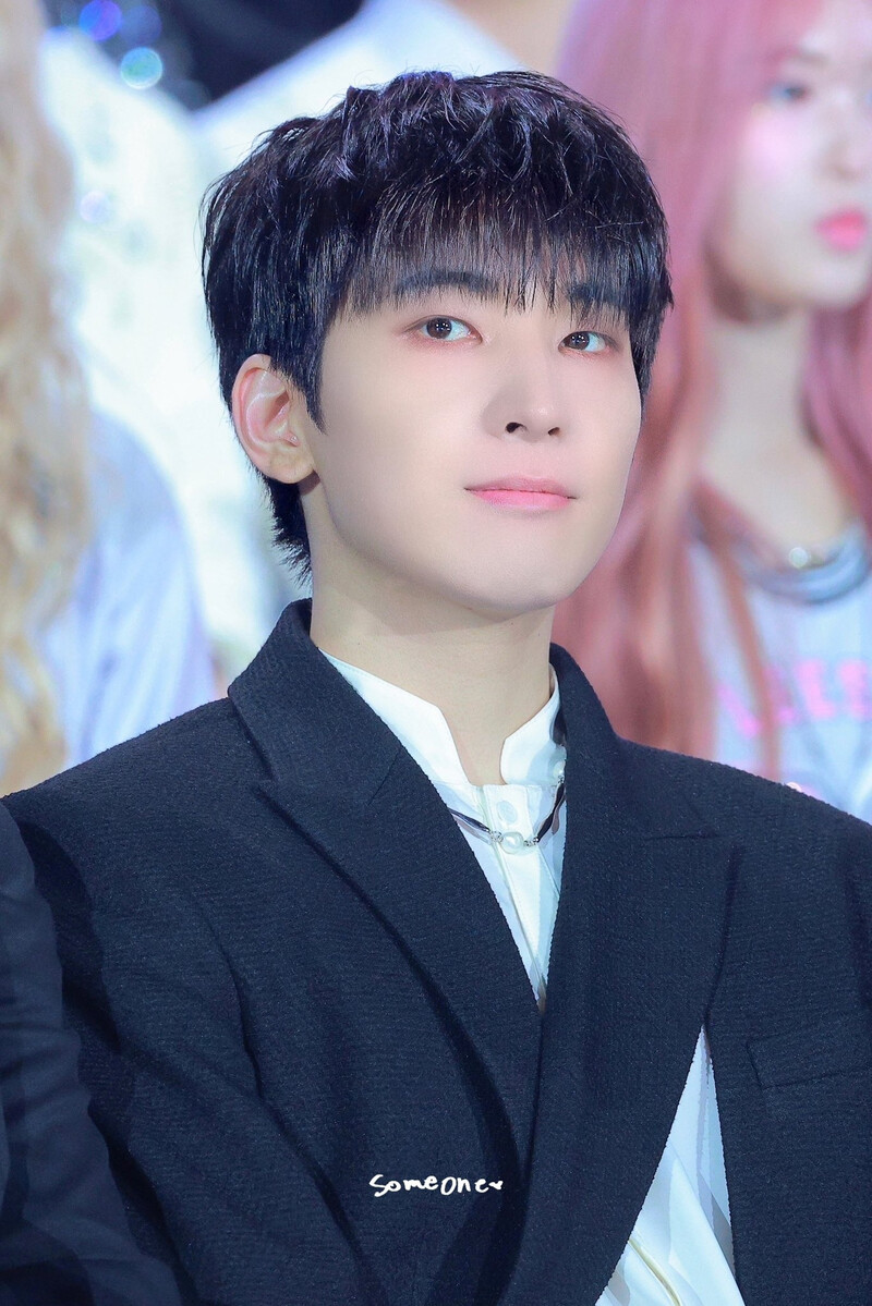 250105 SEVENTEEN Wonwoo at Golden Disc Awards 2025 documents 7