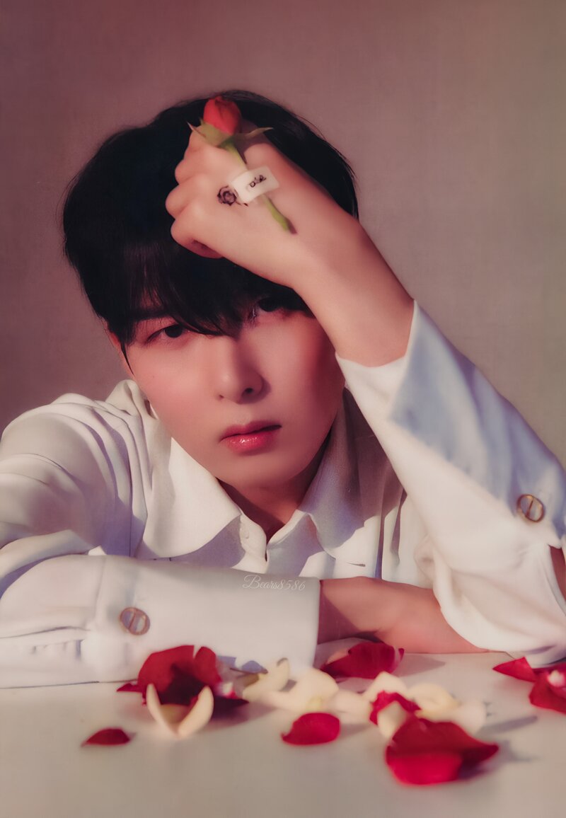 [SCAN] RYEOWOOK - 'A Wild Rose' Petal version documents 3