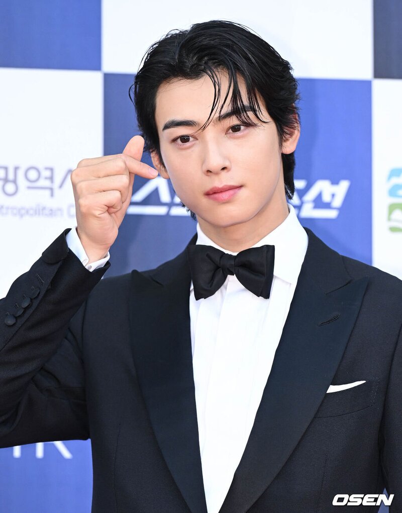 230719 Cha Eunwoo at the 2nd Blue Dragon Series Awards Red Carpet documents 5