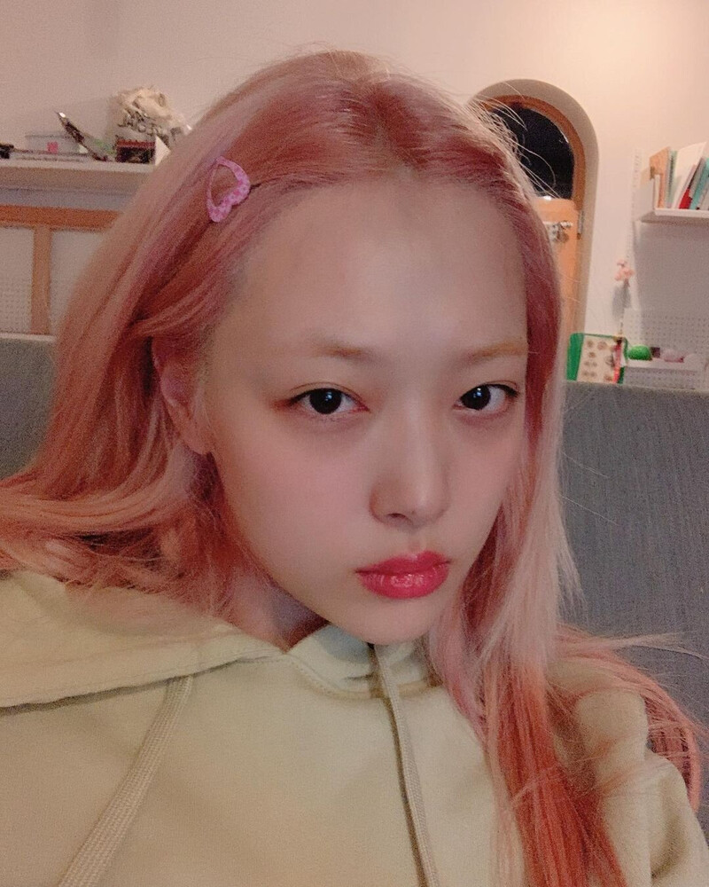 190713 Sulli Instagram Update documents 8