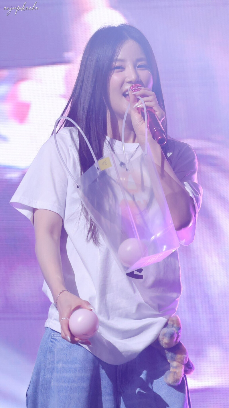 241005 CHORONG at 2024 Apink CHOBOM Fanmeeting Tour MATCH ♥ In SEOUL documents 29