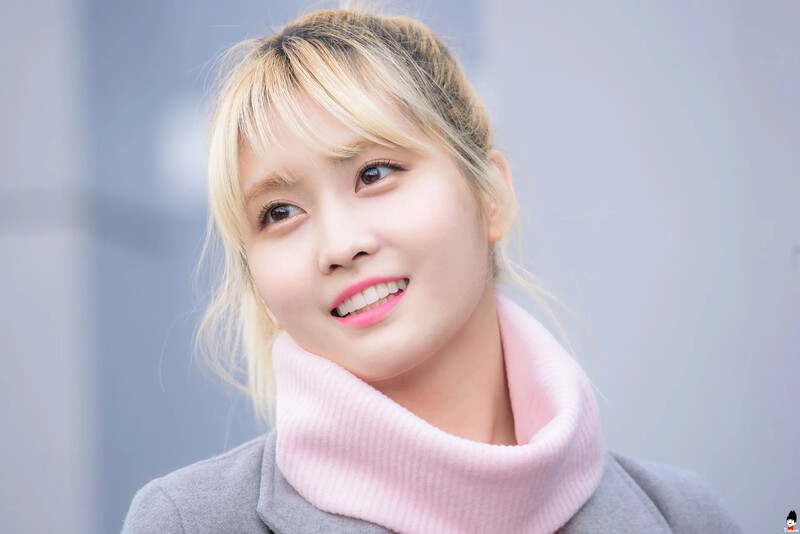 Momo420.jpg