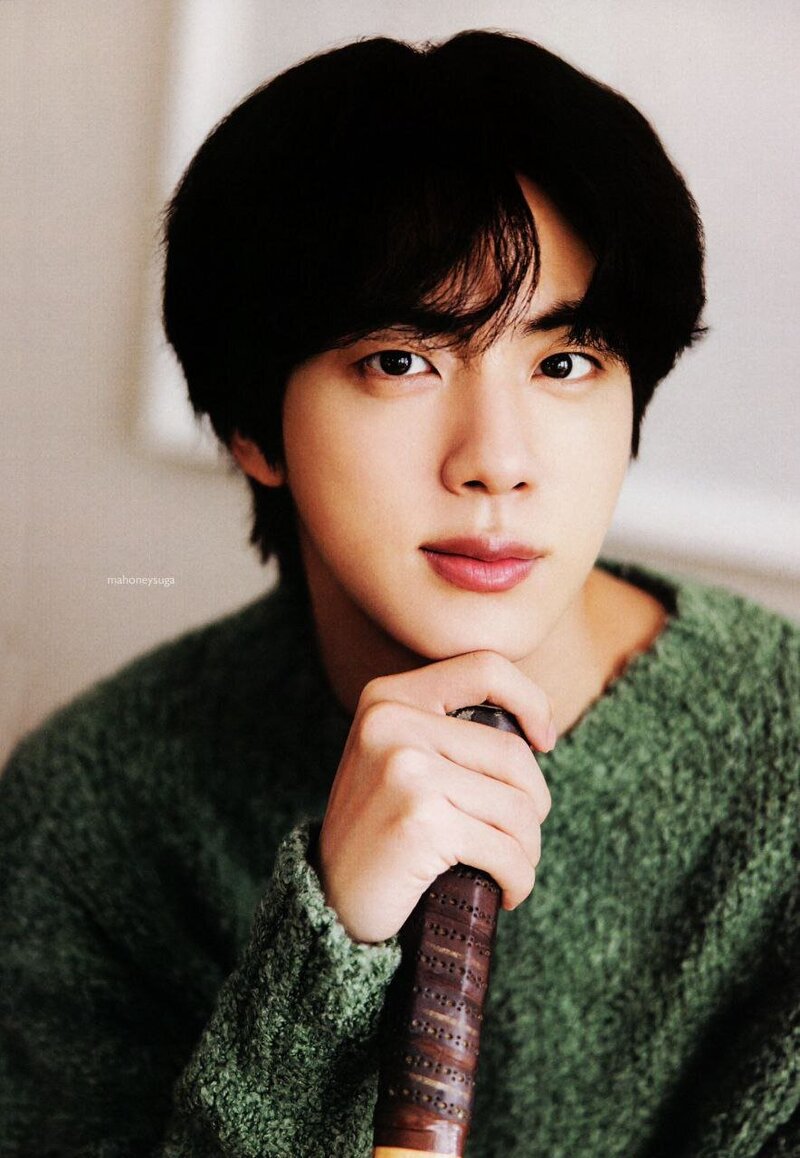 BTS [Jin] Global Official Fanclub 9th ARMY ZIP (SCANS) documents 2