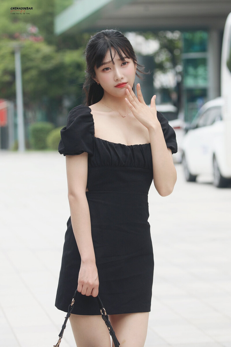 220706 Red Velvet Joy - 'Animal Farm' Commute documents 3