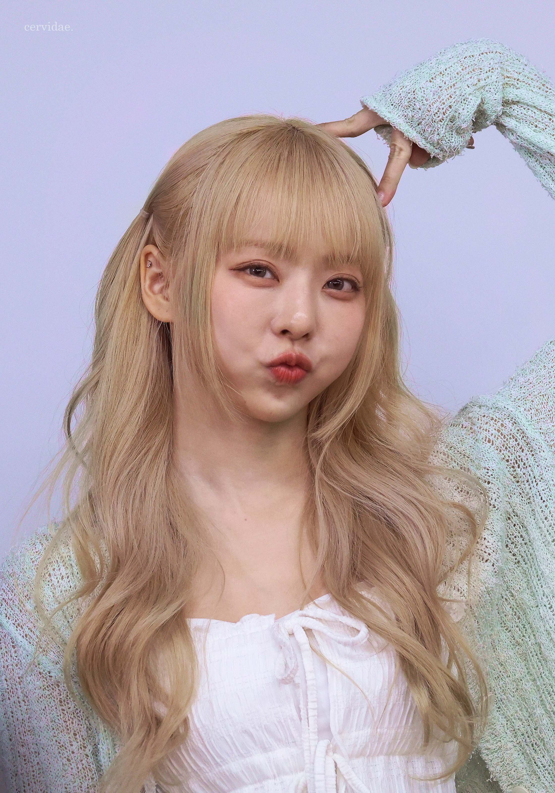 ViVi (Loossemble) profile