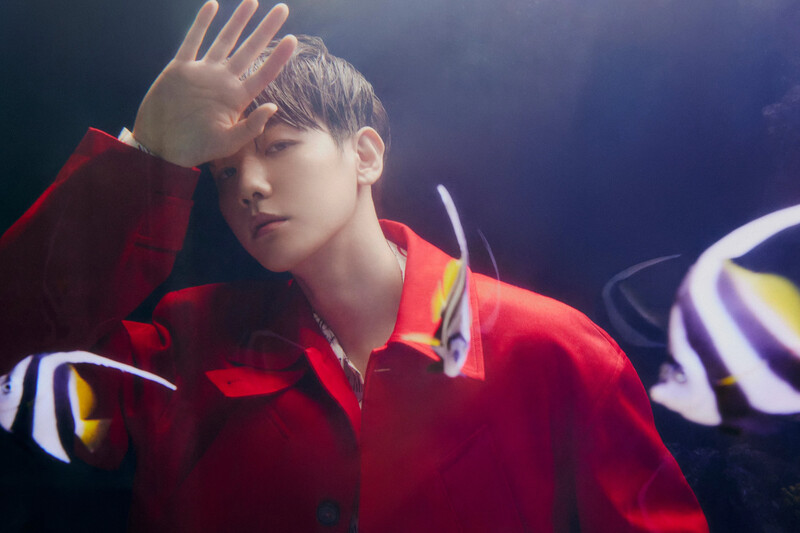 BAEKHYUN "Bambi" Concept Teaser Images documents 16