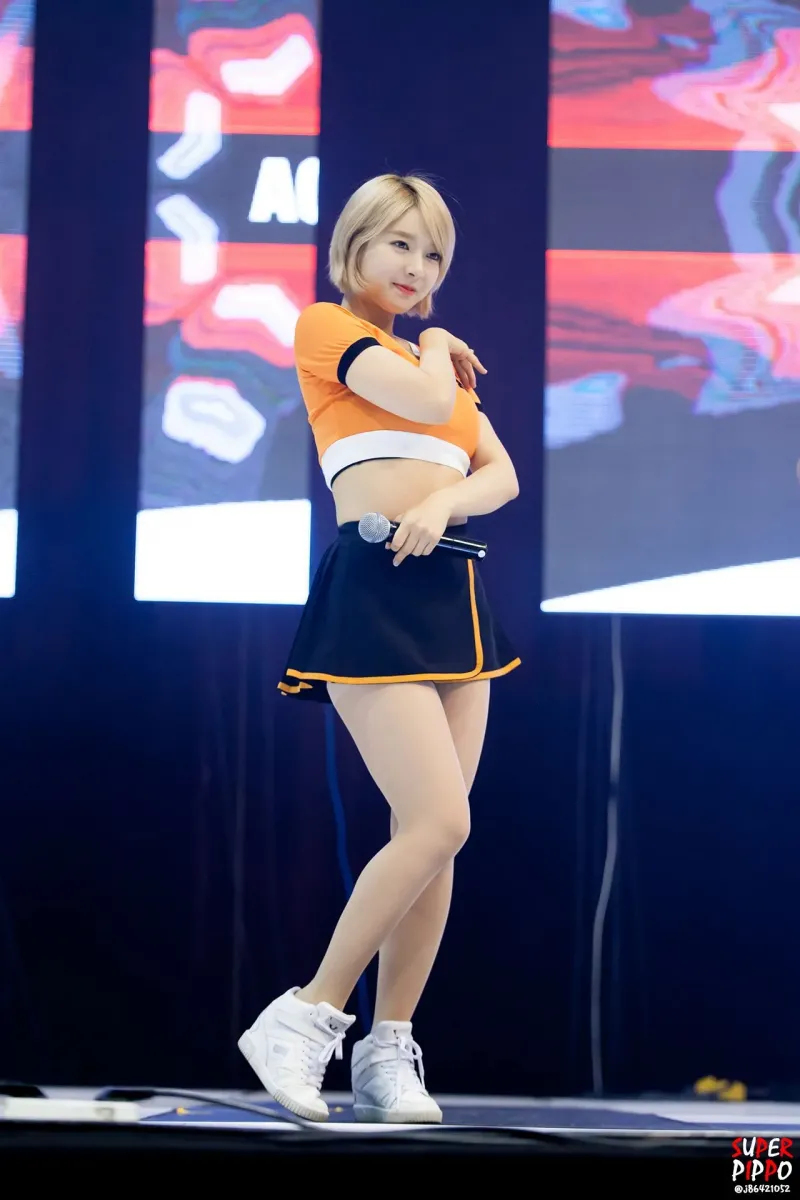 ChoA288.jpg