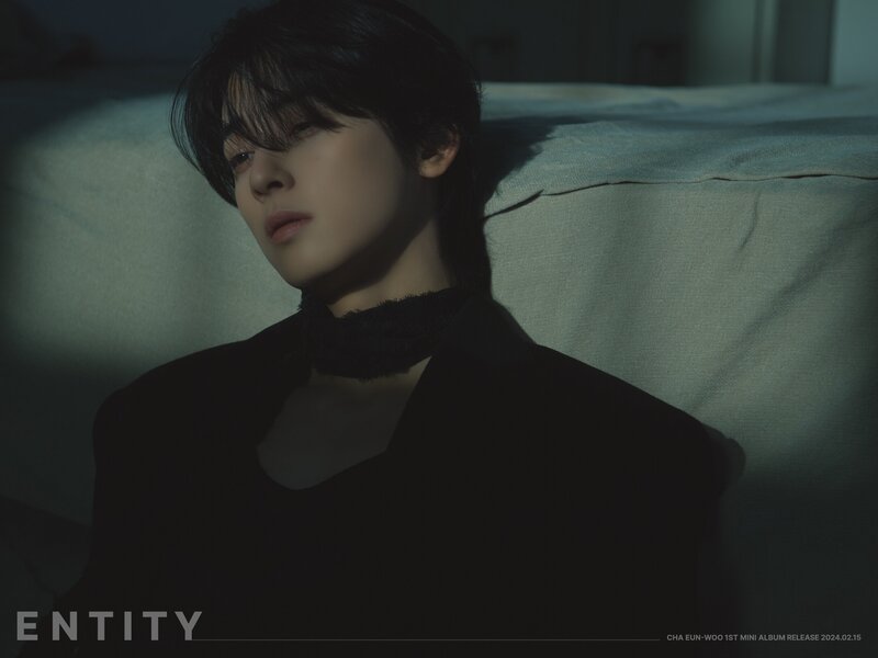 Cha Eunwoo "Entity" Concept Photos documents 1
