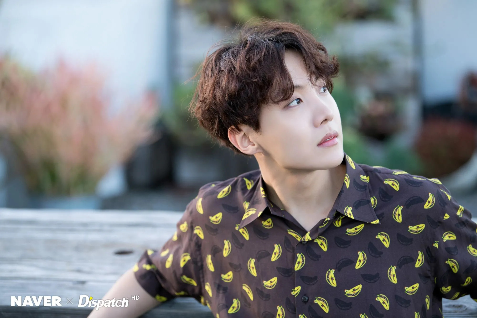 NAVER x DISPATCH ] BTS' J-Hope Christmas Pictures (181130), 181224