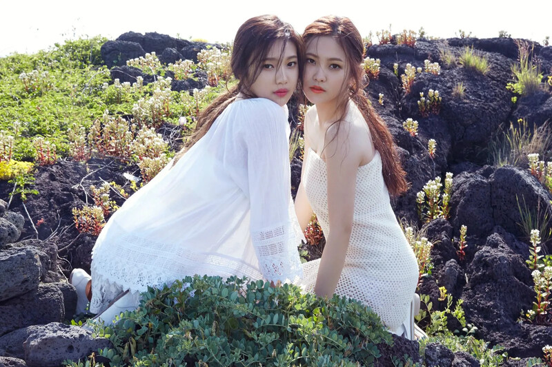 2015.6HighCut_9_b033923.jpg