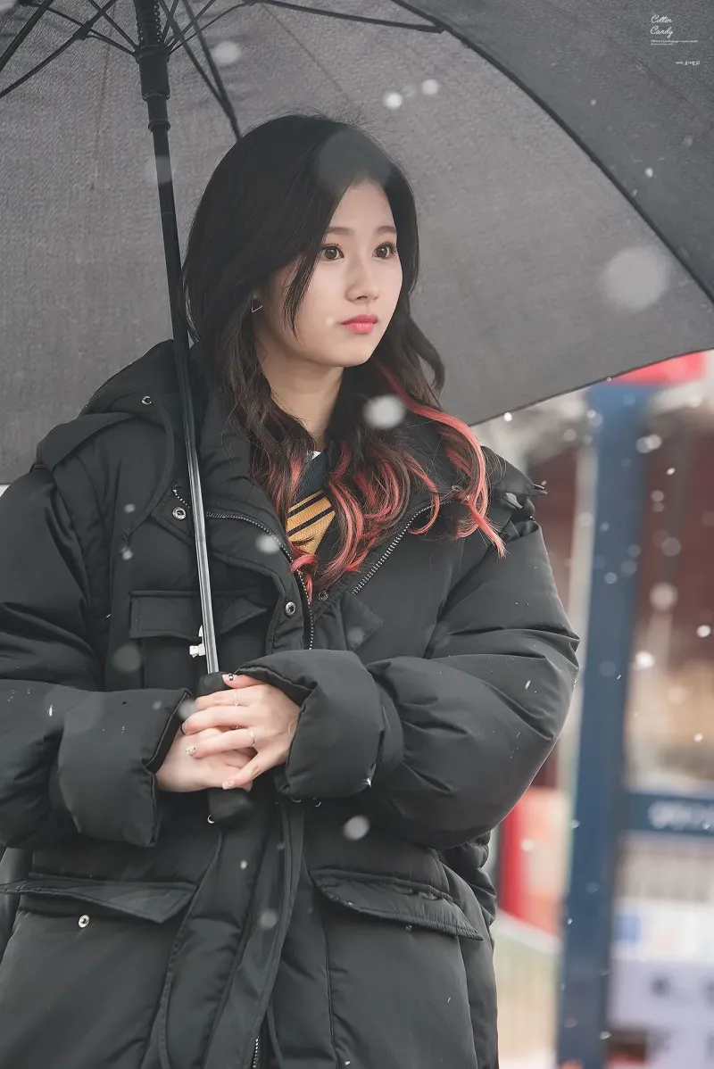 Sana730.jpg