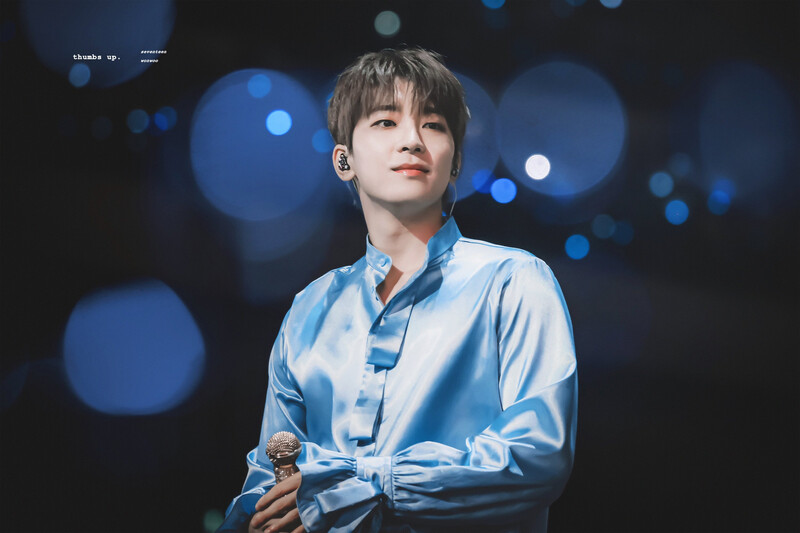 240723 SEVENTEEN Wonwoo - CARATLAND 2024 Day 1 documents 7