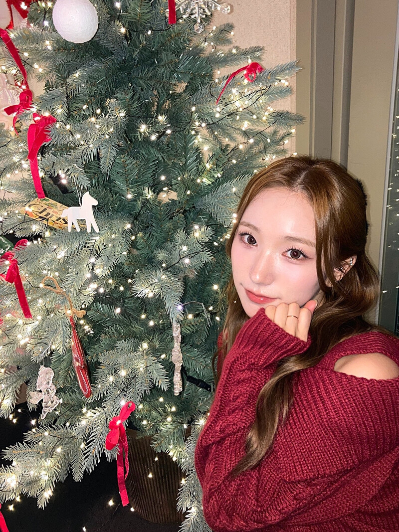 241225 - Geenius Members Twitter Update with SION documents 4