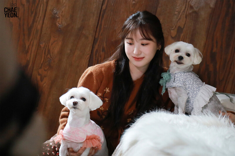 230111 Lee Chaeyeon Cafe Update - Happy Chaeyeon Day documents 20