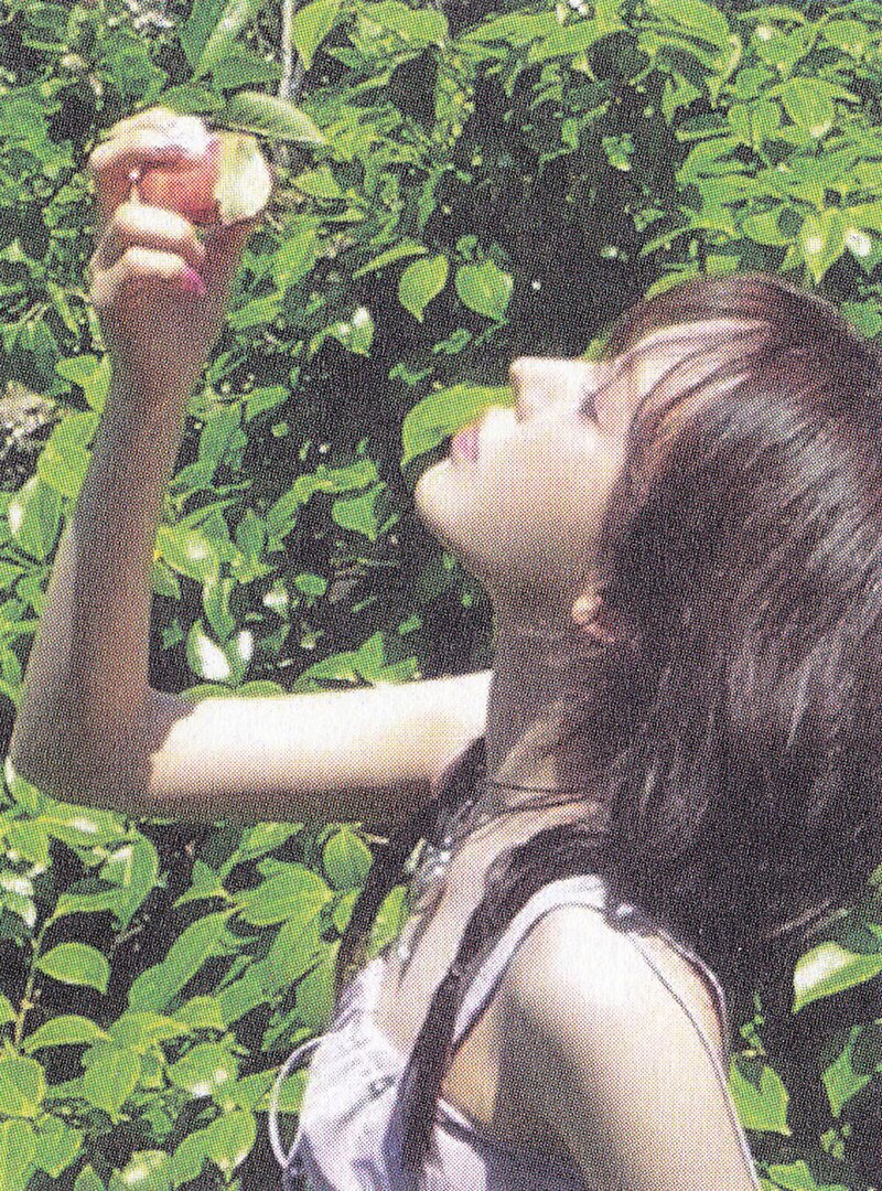 Red Velvet Wendy - 2nd Mini Album 'Wish You Hell' (Scans) documents 13