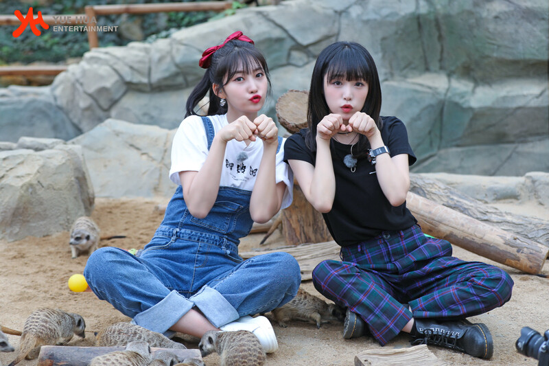 211028 Yuehua Naver Post - Yena & Sihyeon - Animal Detective Behind documents 9