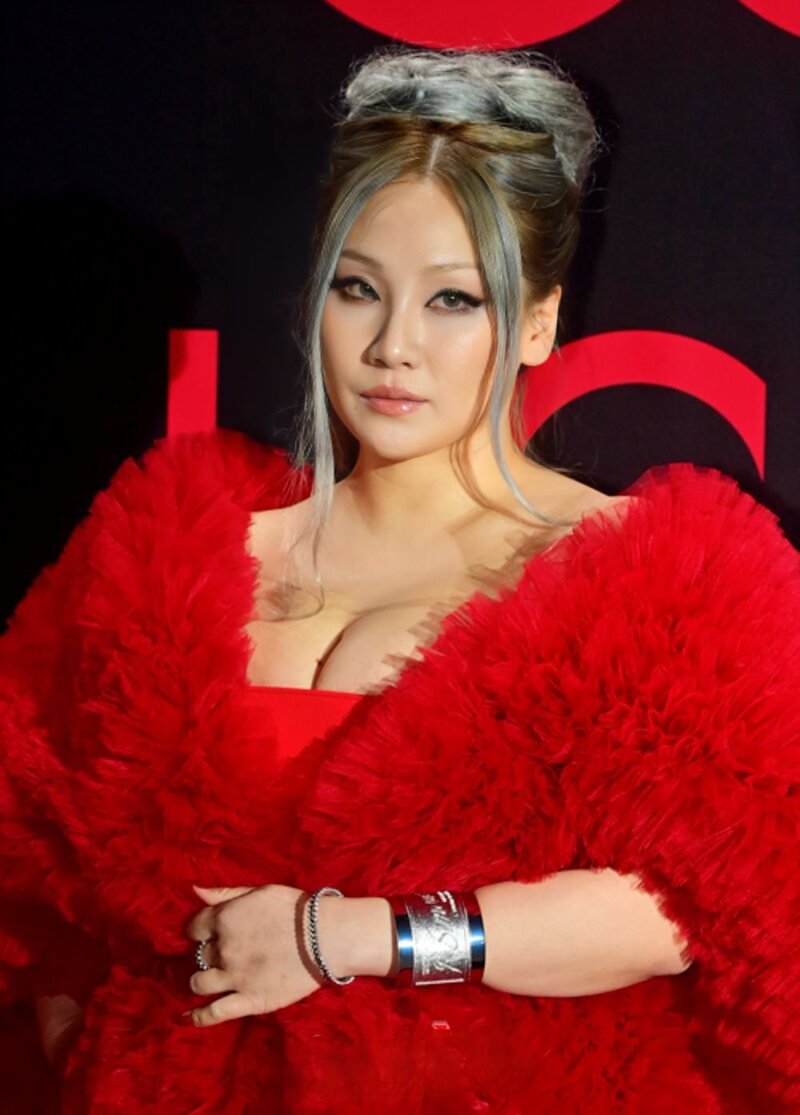 December 8, 2022 CL at GQ Night Party in Seoul documents 2