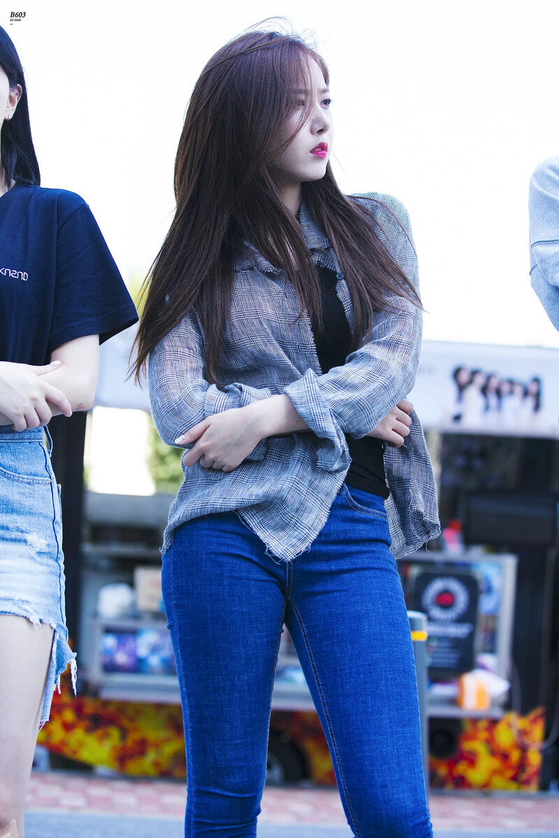 Sinb131.jpg