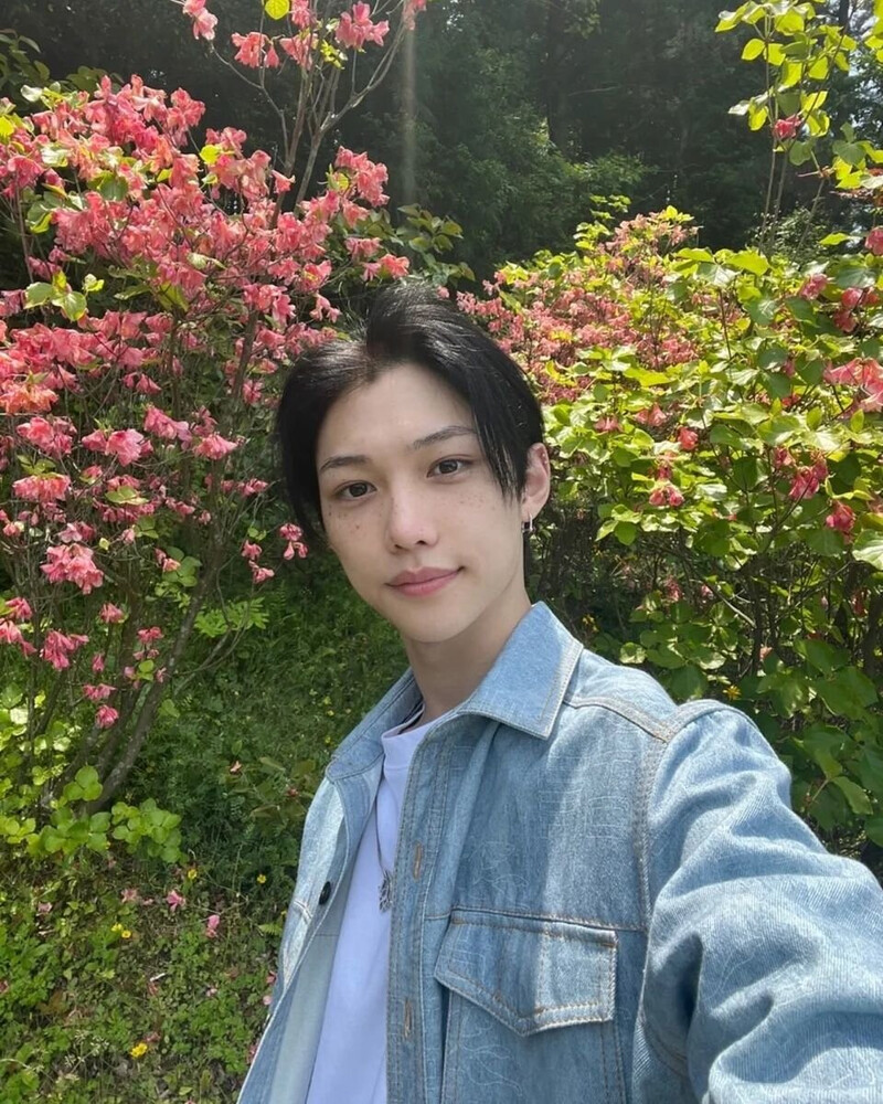 220521 Felix Instagram Update documents 3