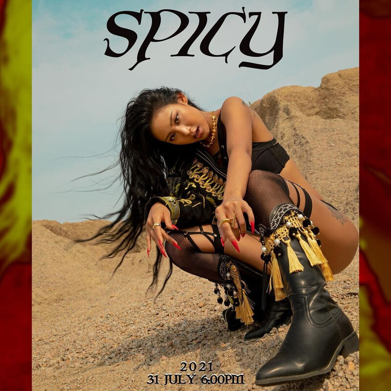 Nada - Spicy 5th Digital Single documents 3