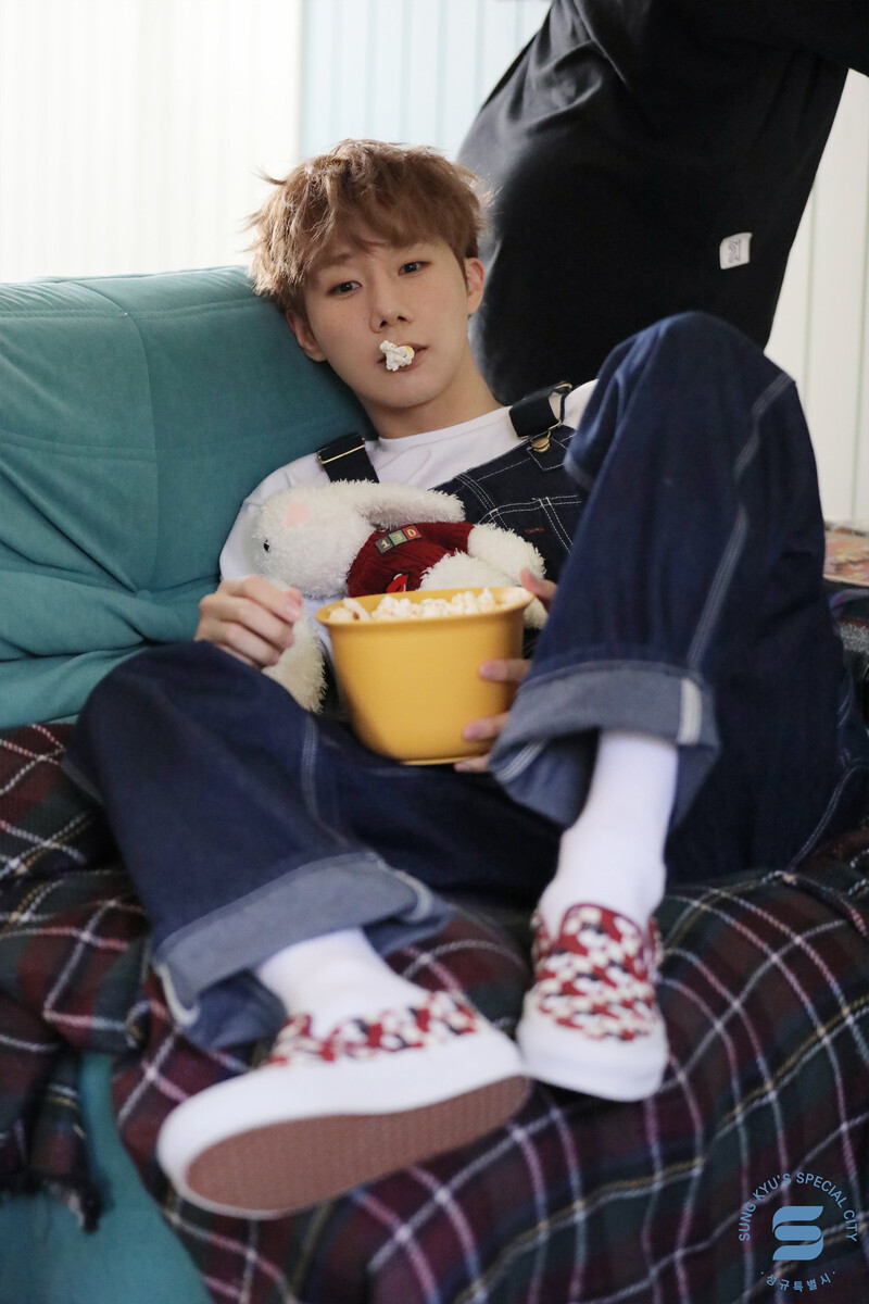 240125 - Sungkyu Official Fan Club Behind Photos documents 3