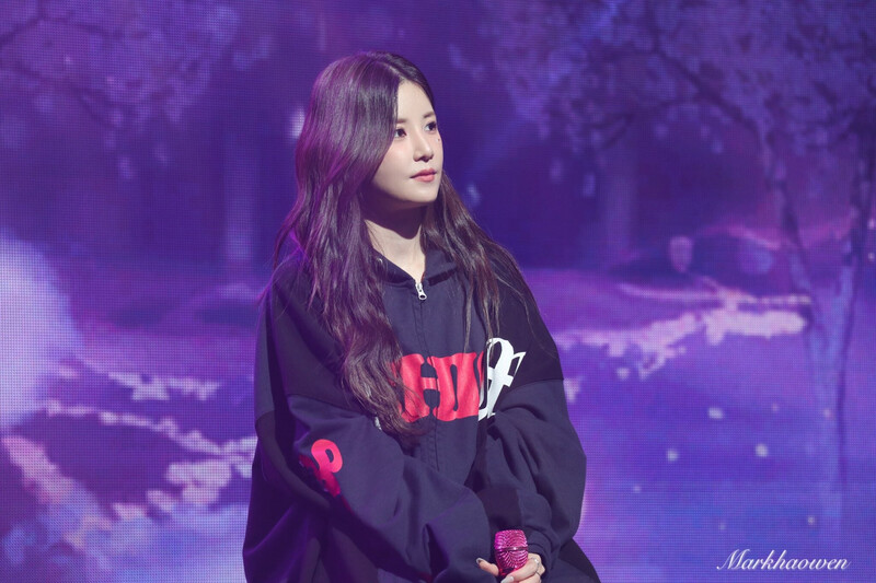 241005 CHORONG at 2024 Apink CHOBOM Fanmeeting Tour MATCH ♥ In SEOUL documents 17