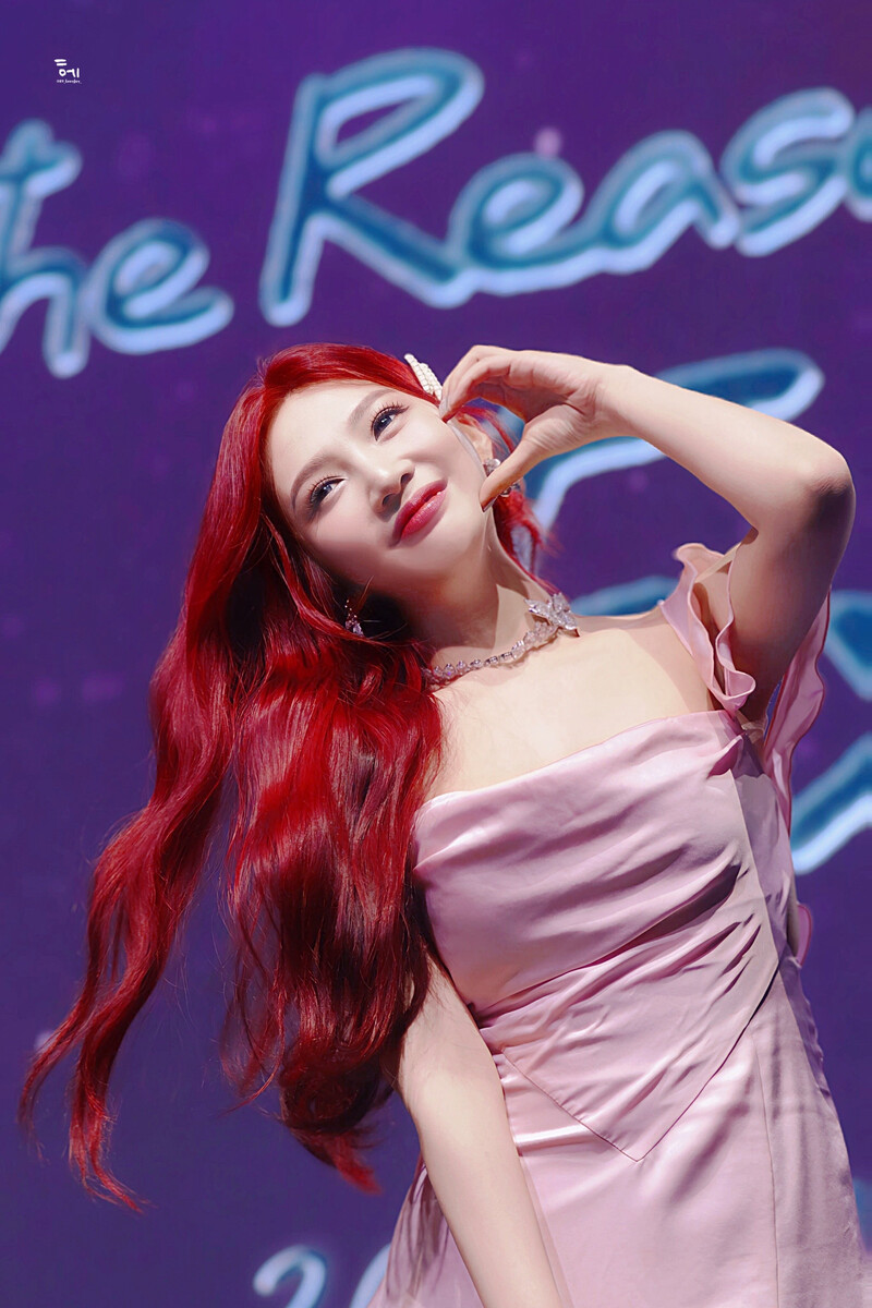 241003 Red Velvet Joy - Happy Joy Day 'The Reason for Existence' documents 12