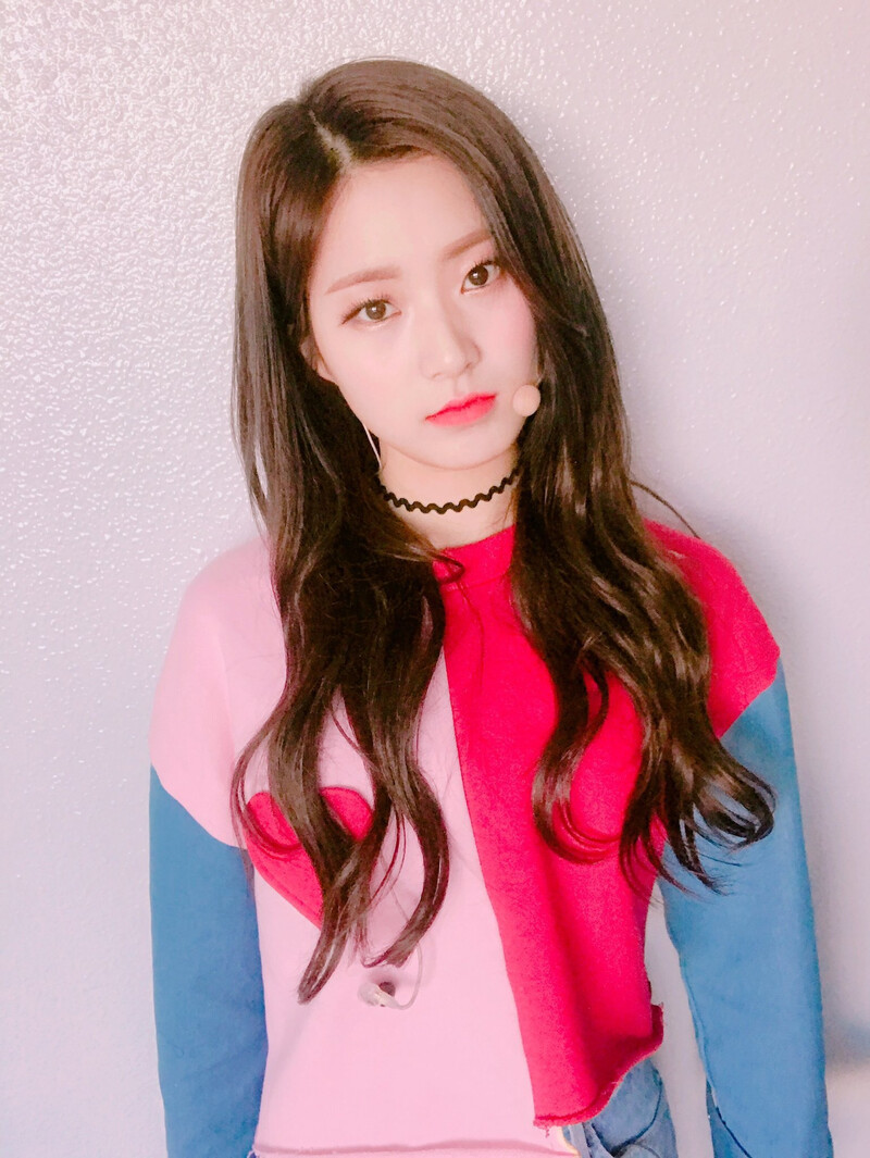 170214 D.ana Twitter Update (SONAMOO) documents 2