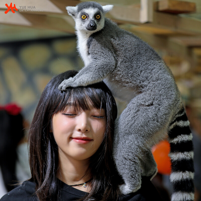 211028 Yuehua Naver Post - Yena & Sihyeon - Animal Detective Behind documents 12