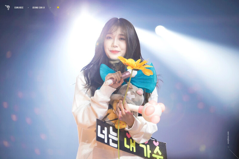 180113 Apink EUNJI at 'PINK SPACE 2018' Concert Day 2 documents 21