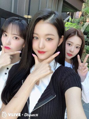 200725 IZ*ONE's Wonyoung, Minju, Sakura, Yena & Chaewon - Vlive x Dispatch Selcas