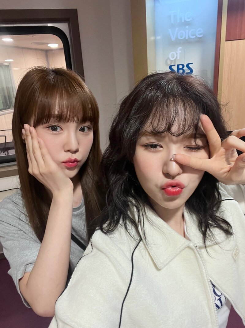 220519 Woo!Ah! Twitter Update - Nana with Red Velvet's Wendy documents 1