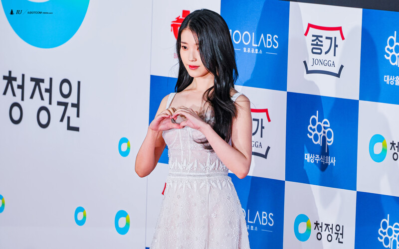 221125 IU at 43rd Blue Dragon Film Awards Red Carpet documents 5