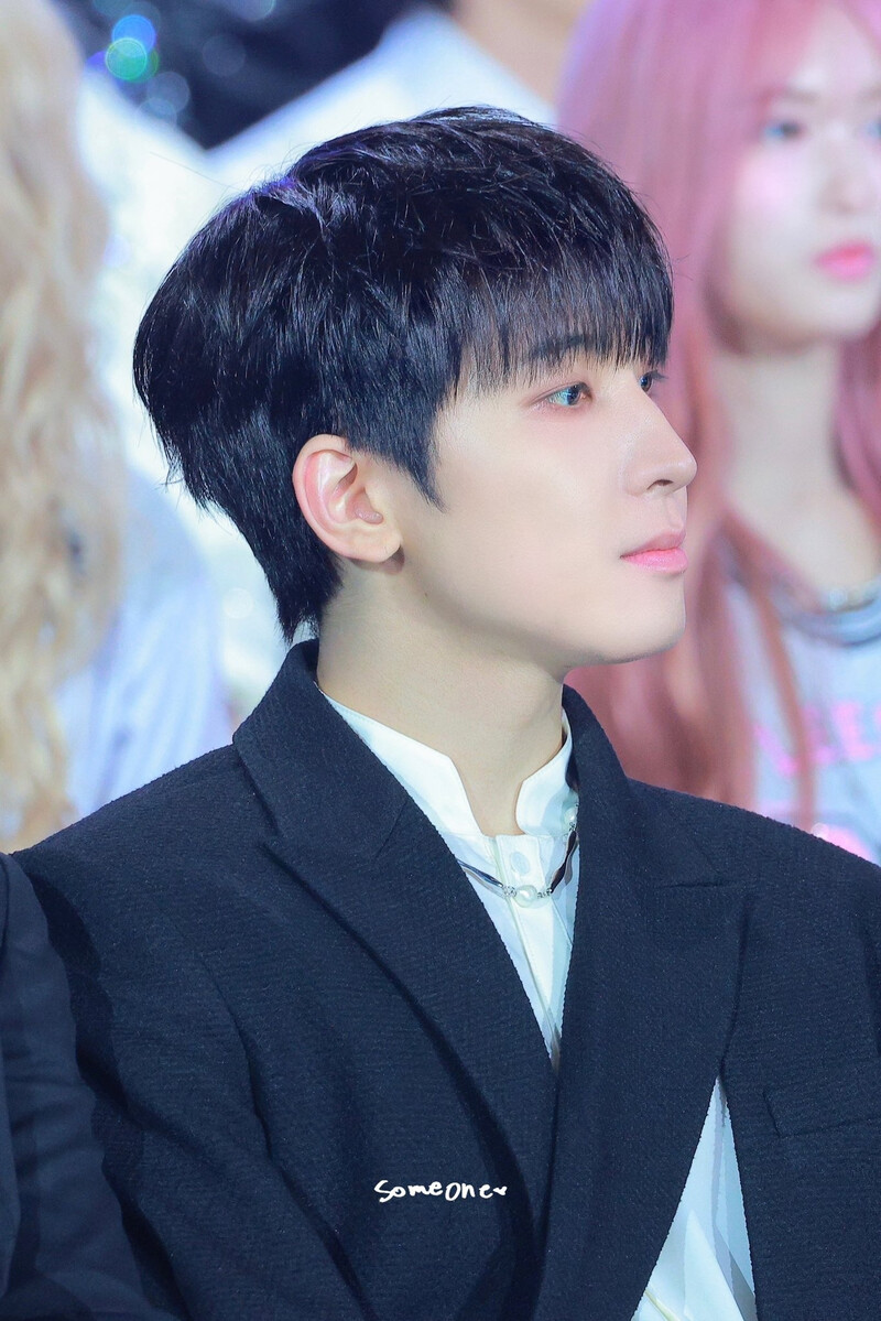 250105 SEVENTEEN Wonwoo at Golden Disc Awards 2025 documents 9