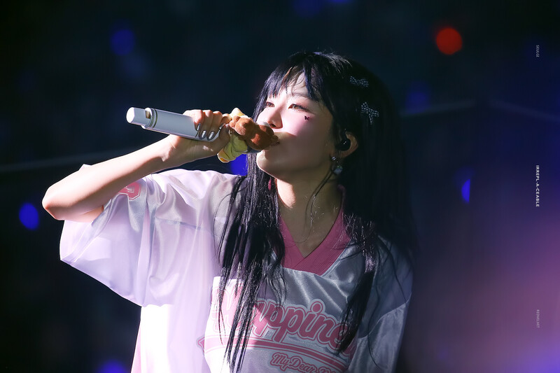 240802 Red Velvet Seulgi - Fan-Con Tour 'Happiness : My Dear, ReVe1uv' in Seoul Day 1 documents 2